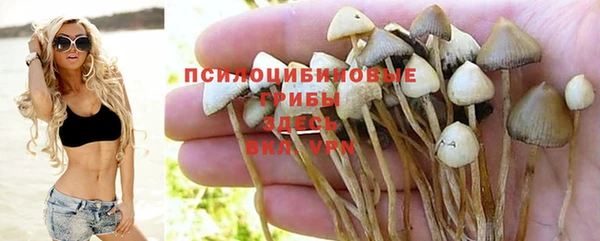 кокаин колумбия Алзамай